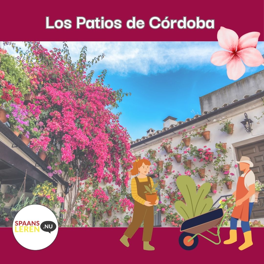 Los Patios de Córdoba